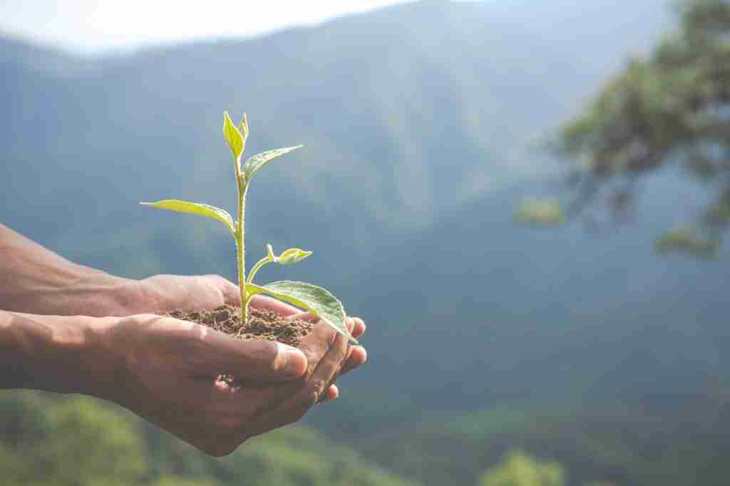Environmental Regulations