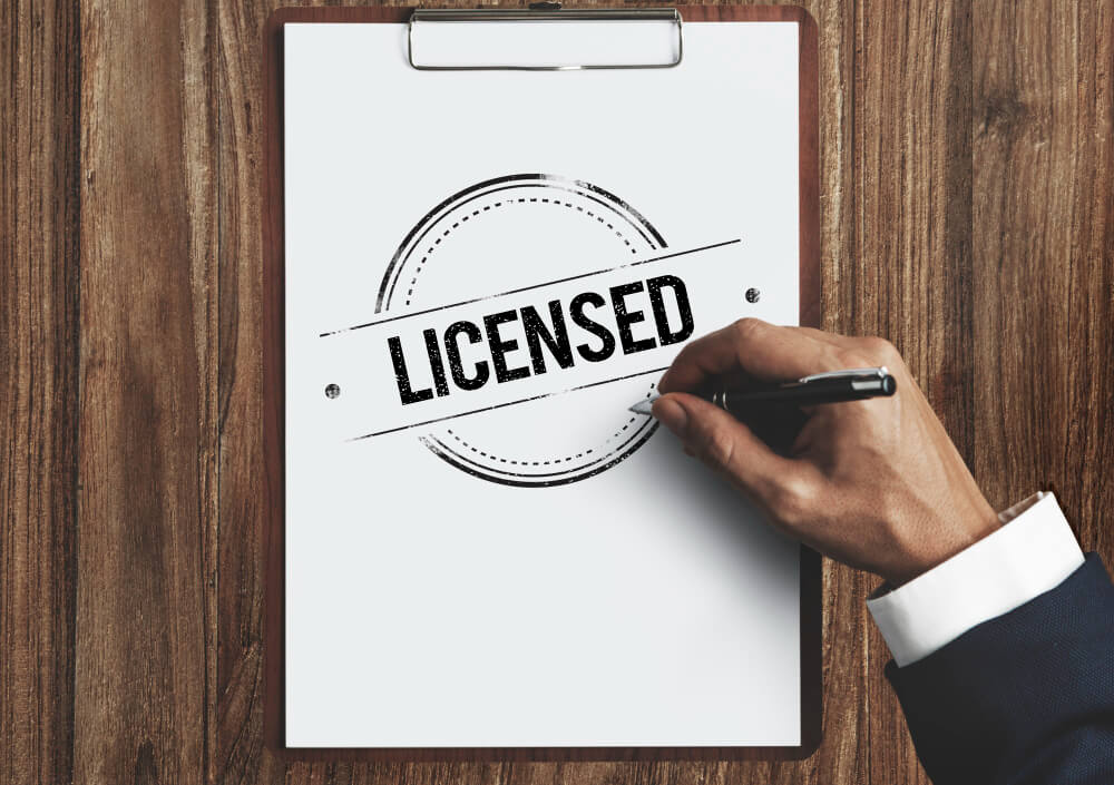 electronic business license China