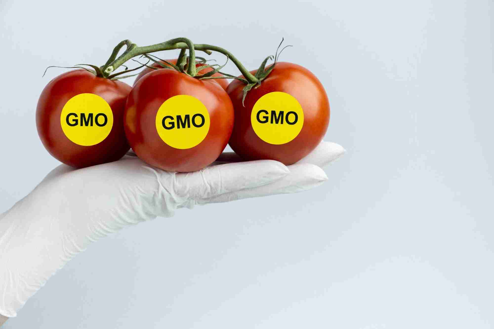 Trading WFOE gmo china trading wfoe