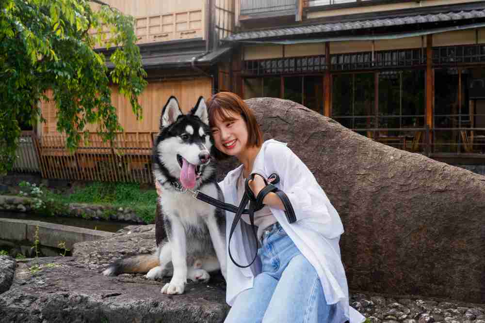 Trading WFOE pet food in china