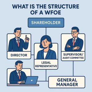 Diagram showing what is the structure of a WFOE with shareholder, director, supervisor/audit committee, legal representative, and general manager roles.