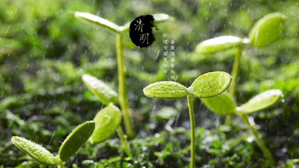qingming festival