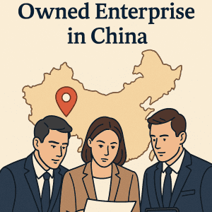 Business team analyzing wholly foreign owned enterprise in China