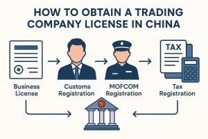 Trading company license China infographic in flat commercial illustration style