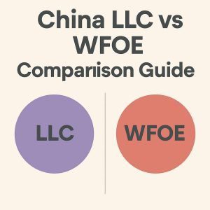 China LLC vs WFOE infographic in flat commercial illustration style